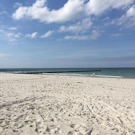 Seepferdchen Zingst Zewnętrze zdjęcie