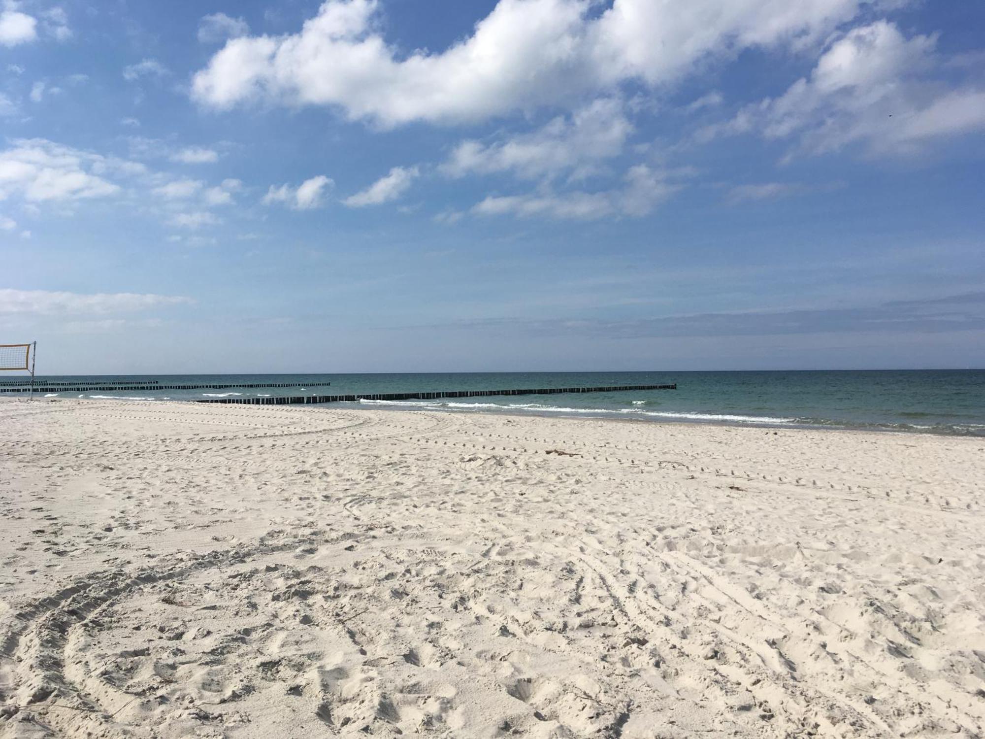 Seepferdchen Zingst Zewnętrze zdjęcie