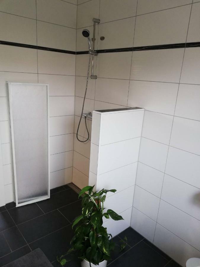 Seepferdchen Zingst Zewnętrze zdjęcie